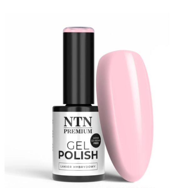 NTN Premium Hybridný lak - Delight Sorbet Collection č. 148, 5g